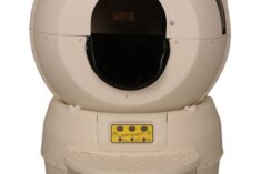 Litter Robot Review