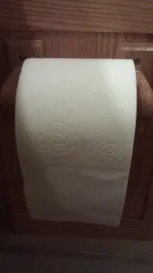 IMAG4073 Correct toilet paper form