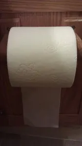 Wrong toilet paper form