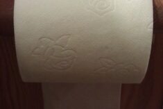 Toilet Paper Peeve