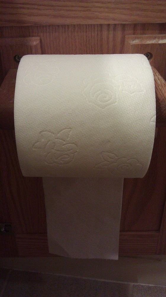 Toilet Paper Peeve