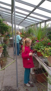 Gram's greenhouse. 