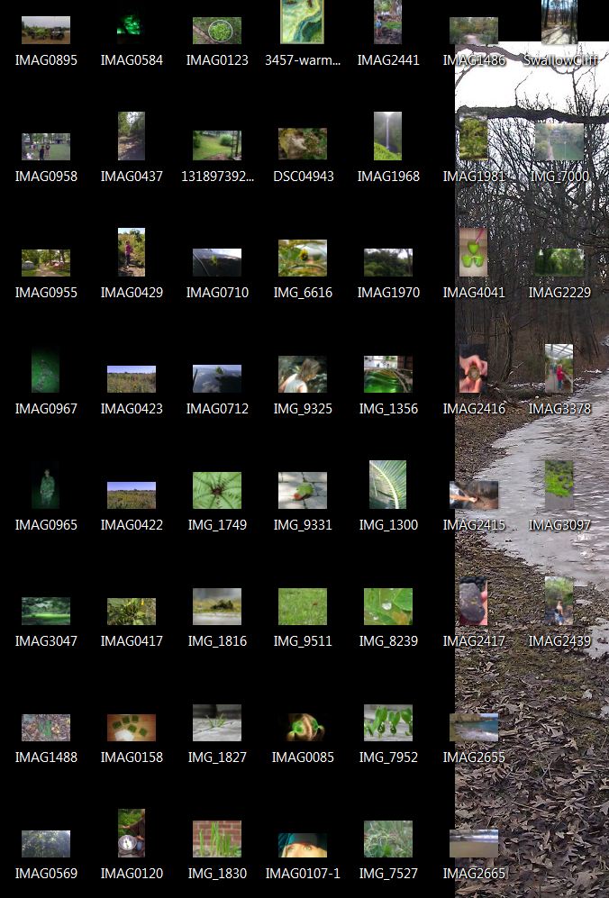 All the green pics on my hard drive. 