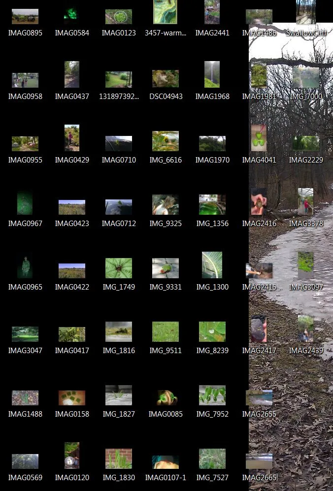 green pics All the green pics on my hard drive.