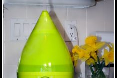 green cool mist humidifier