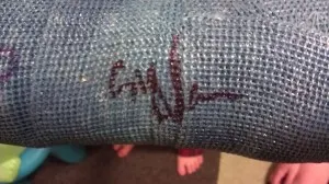 signed cast