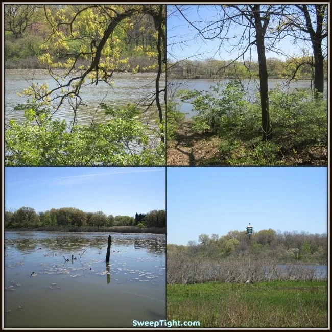 Four pictures of a a pond at the Little Red Schoolhouse nature center.