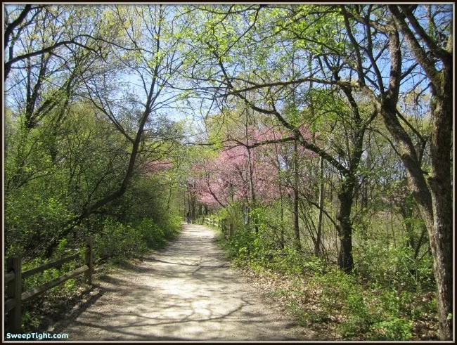 Nature path at the little red schoolhouse. 