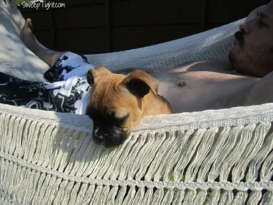 bliss hammock