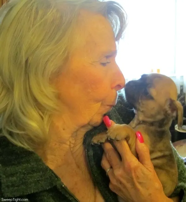 gram and bugg puppy