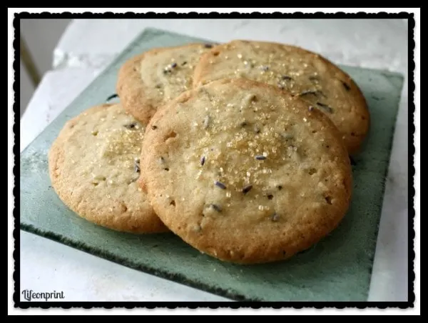 Lavender Sugar Cookies