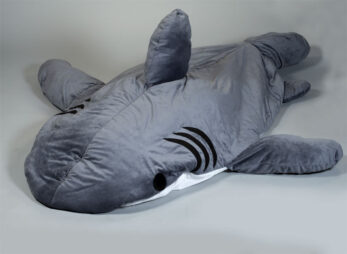 chumbuddy shark