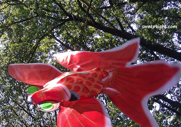 Goldfish kite purchased from World Market. 