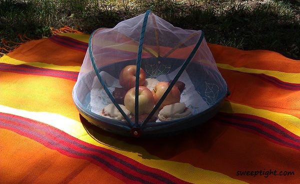 Food dome to keep bugs off picnic food. 