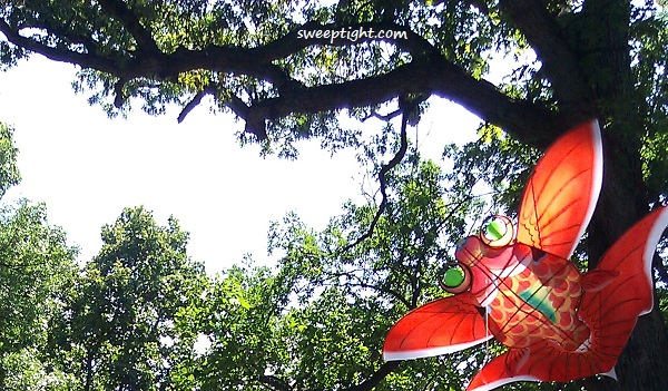 A fish kite by a tree. 