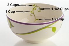 Measuring Leaves portion control dinnerware
