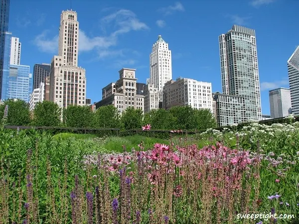 beautiful Chicago