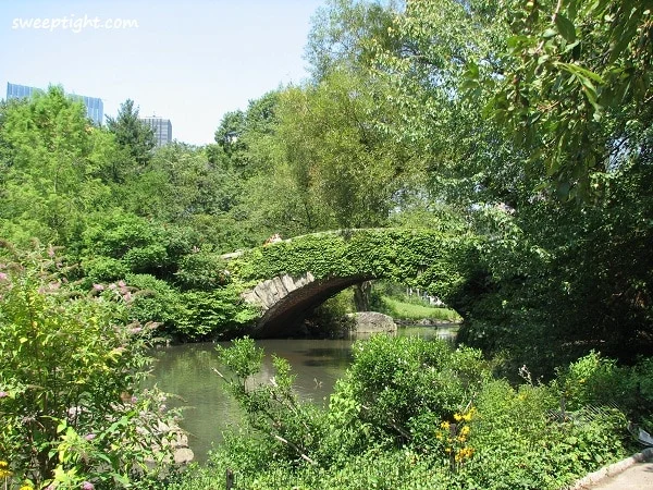 favorite bridge