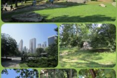 central park new york