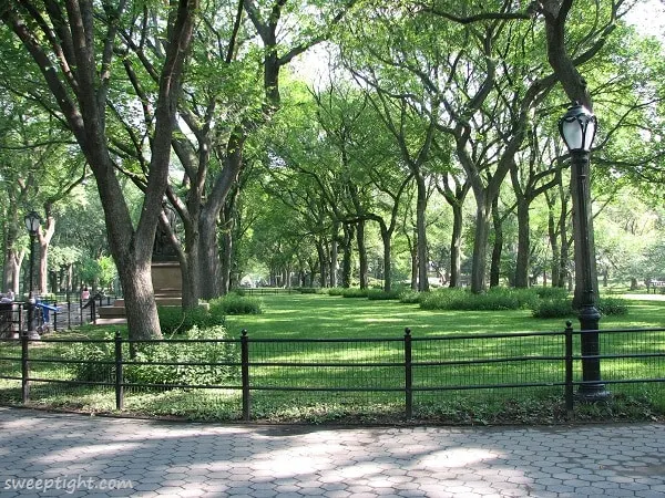 Pretty Cental Park Path