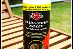 get rid of garden pests