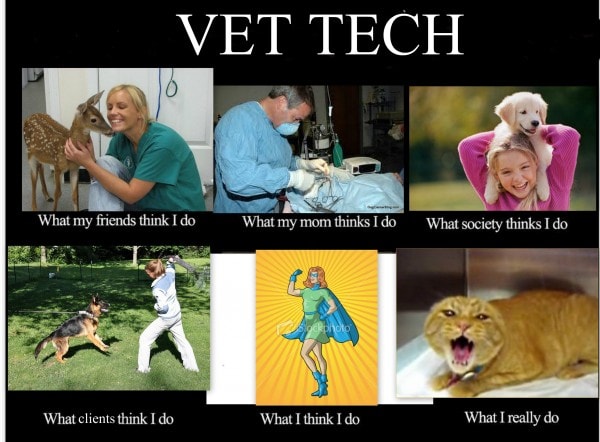 Meme about being a vet tech. 