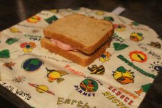 Green Choice for Sandwich Bags