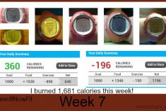 Revolt Fitness work outs
