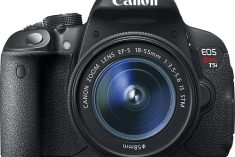 capture family memories