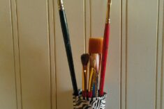 DIY Craft idea with Probugs Carton