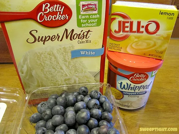 Cake, blueberries, lemon pudding, and whipped cream frosting. 