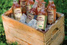 Celebrate National Iced Tea Day with Rooibee Red Tea