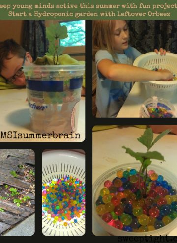 fun things for kids to do to prevent summer brain drain #MSIsummerbrain