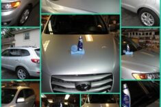 turtle wax ice