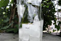Brancott Estate Wines
