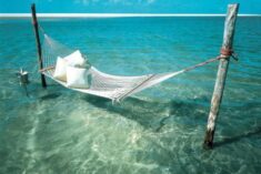 early retirement