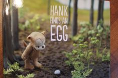 hank finds an egg