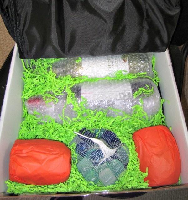 summer picnic kit