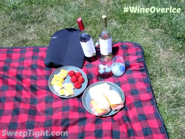 Wine and snacks on a picnic blanket outside. 