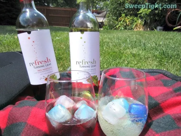 Wine bottles and wine over ice on a picnic blanket.