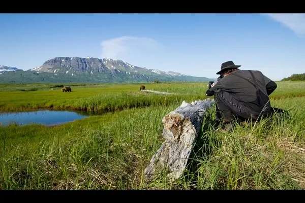 Grizzly BEARS photography.