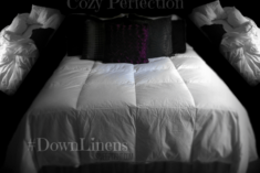 All season comforter #DownLinens #spon