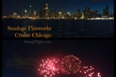 Seadogs Fireworks Cruise Chicago #spon