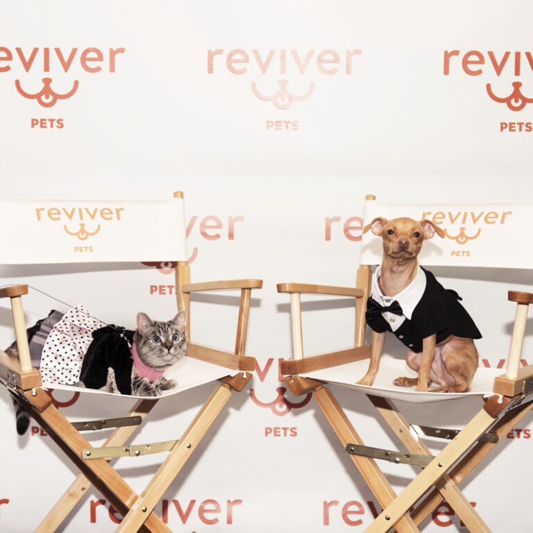 Reviver Pets Launch Event in Chicago