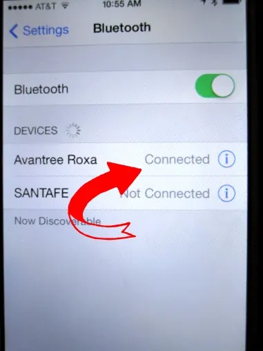 connected to roxa