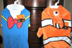 halloween pet costumes