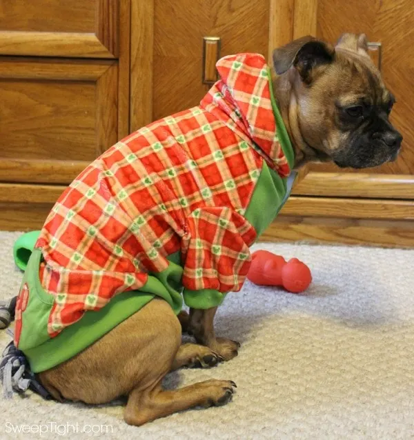 Holiday Hoodie from PetSmart