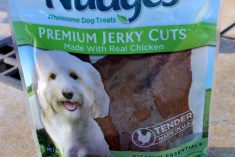 Safe Chicken Jerky for Dogs by Nudges