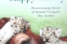 Cute Animal Photo Book Celebrating Family
