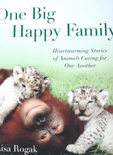 Cute Animal Photo Book Celebrating Family